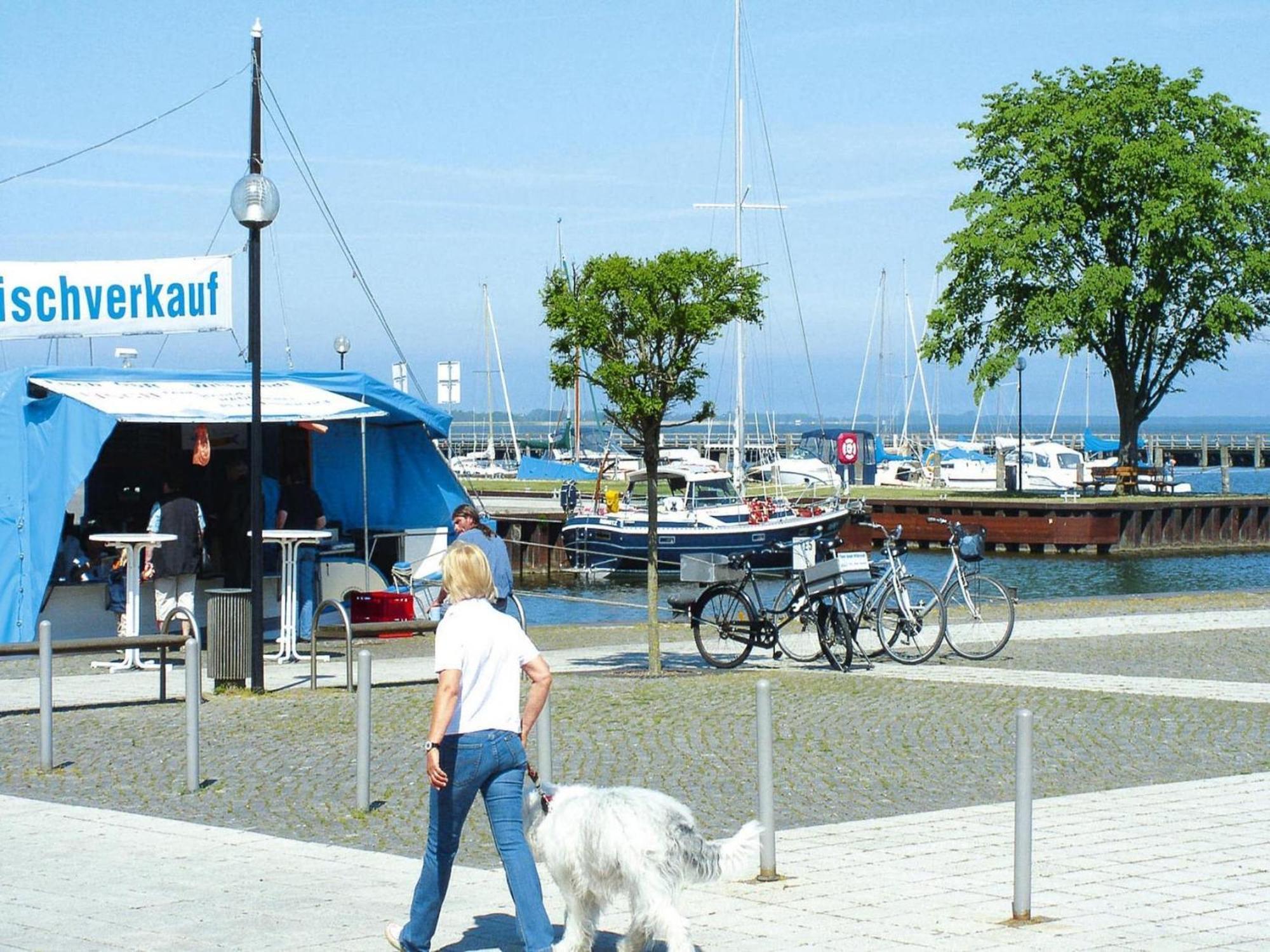 Ferienhaus In Ribnitz-Damgarten Kültér fotó